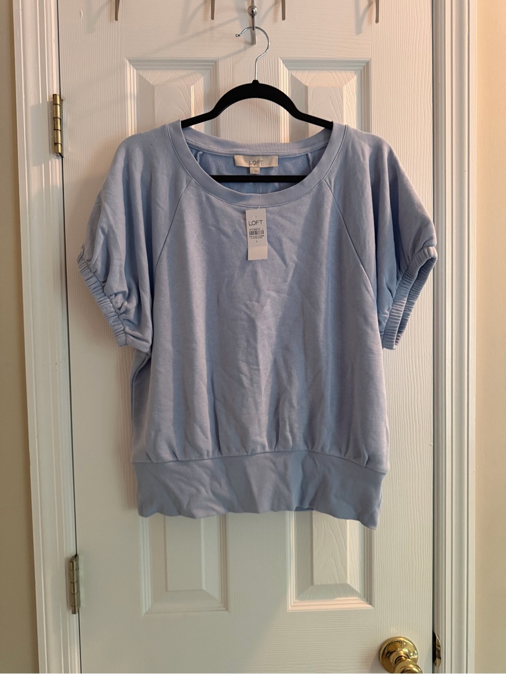 LOFT Light Blue Short Sleeve Pullover Sweatshirt